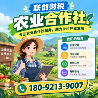 酿酒公司会计报税要多久