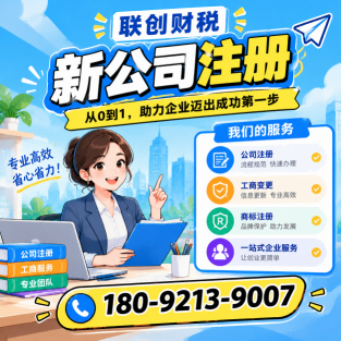 数码科技公司会计报税流程全过程